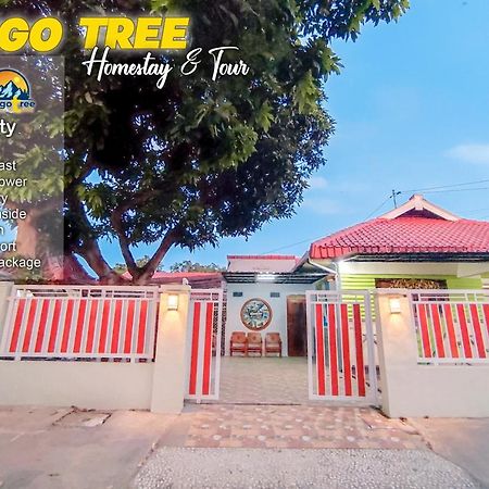 Mango Tree Homestay & Ijen Tour Banyuwangi  Esterno foto