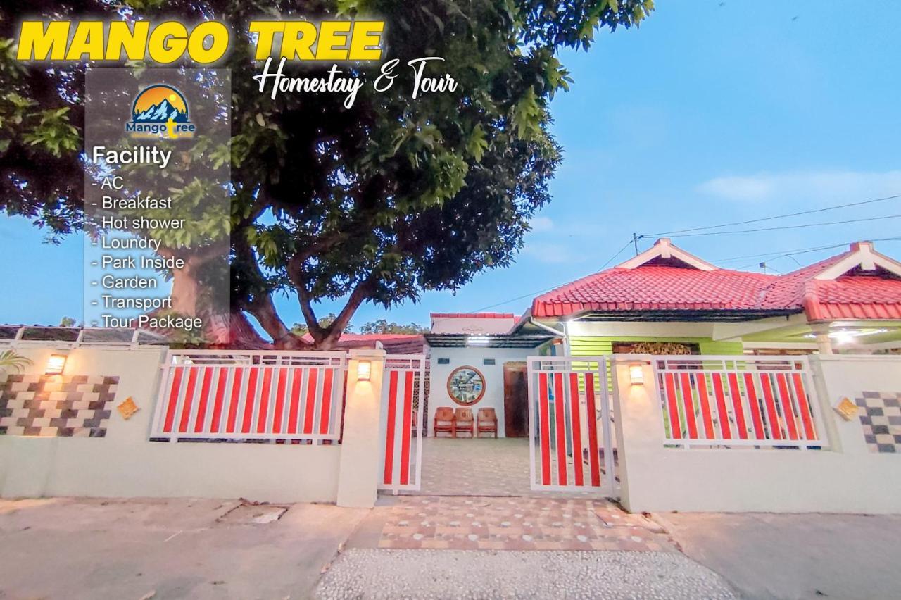 Mango Tree Homestay & Ijen Tour Banyuwangi  Esterno foto