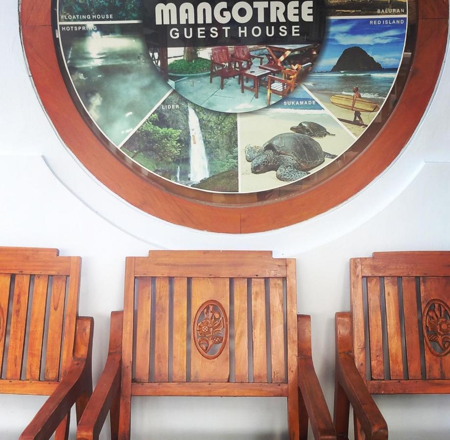 Mango Tree Homestay & Ijen Tour Banyuwangi  Esterno foto