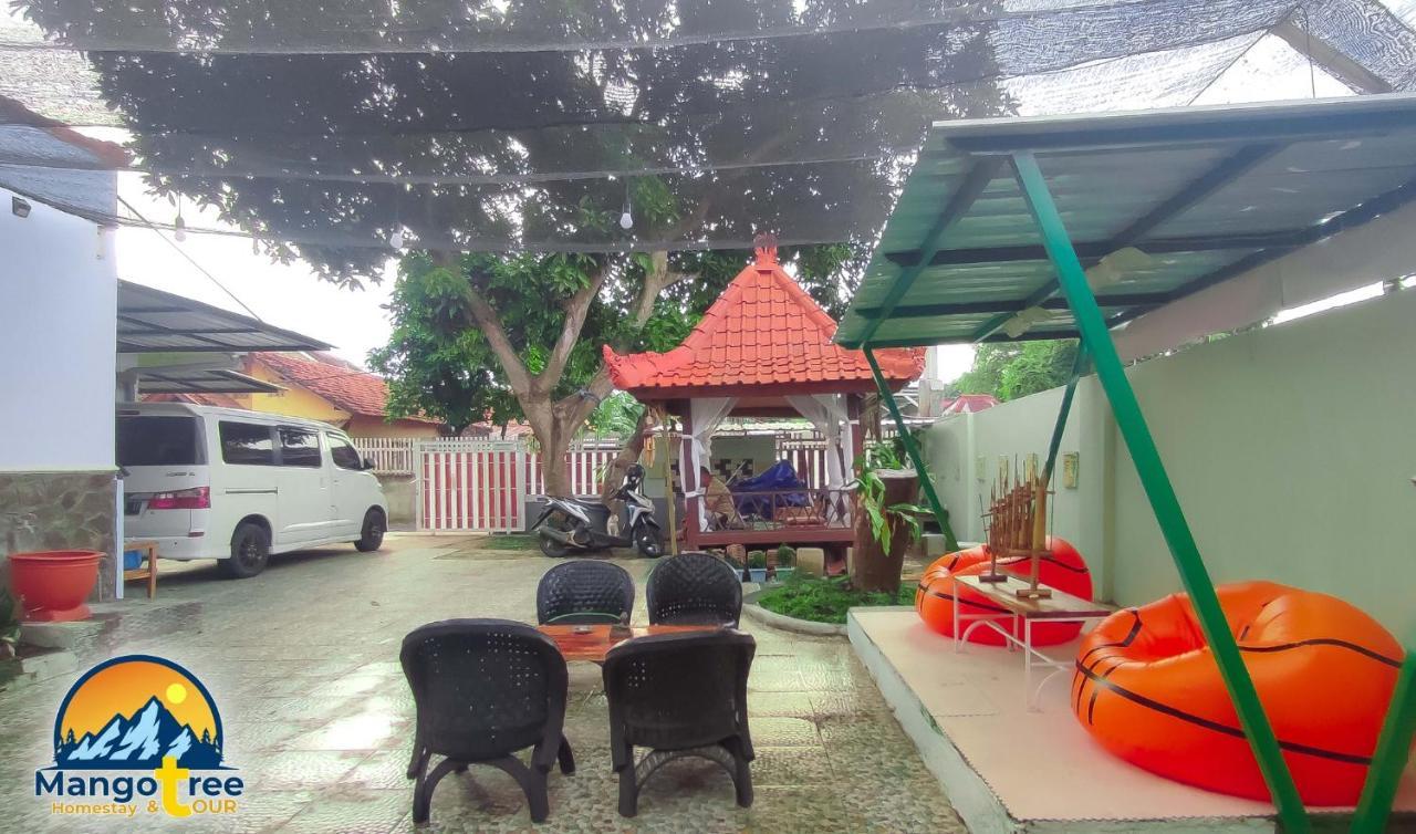 Mango Tree Homestay & Ijen Tour Banyuwangi  Esterno foto