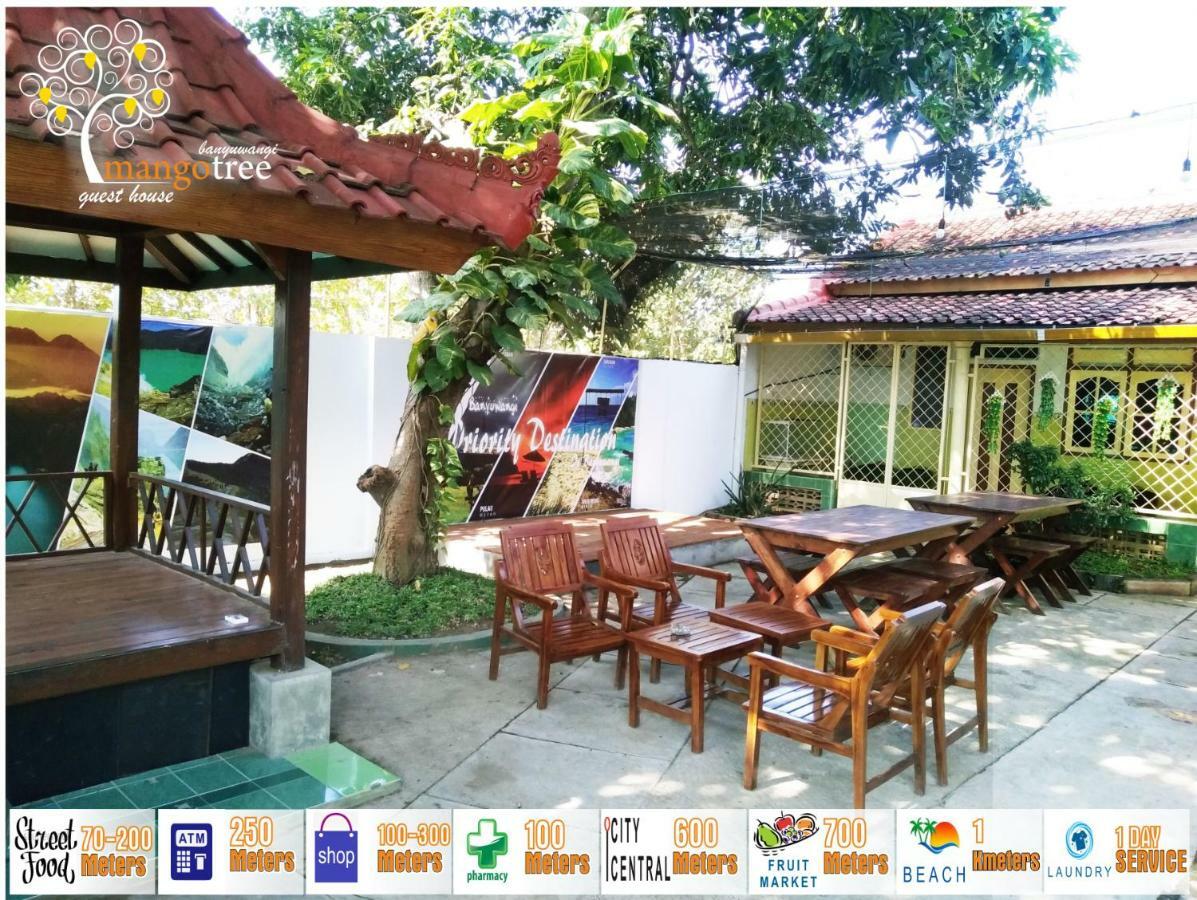 Mango Tree Homestay & Ijen Tour Banyuwangi  Esterno foto